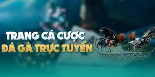 Trang cá cược đá gà trực tuyến 98win